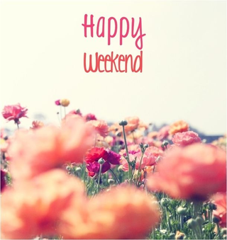 Illustration for article titled Happy Saturday!